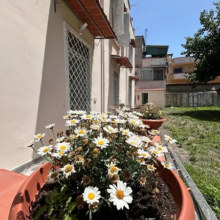 Margherita