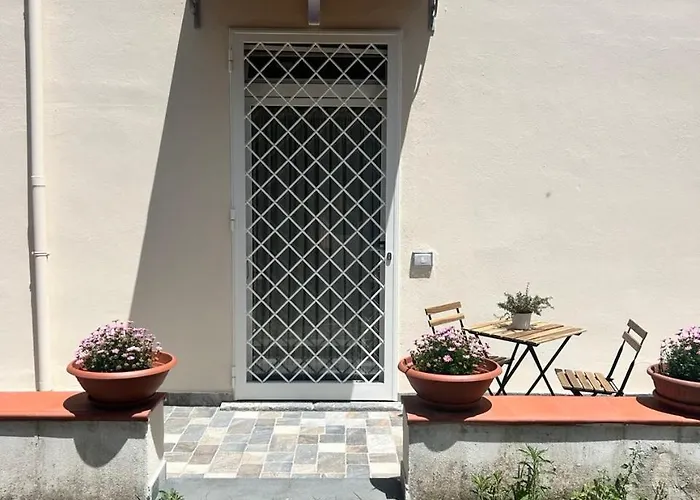 Margherita